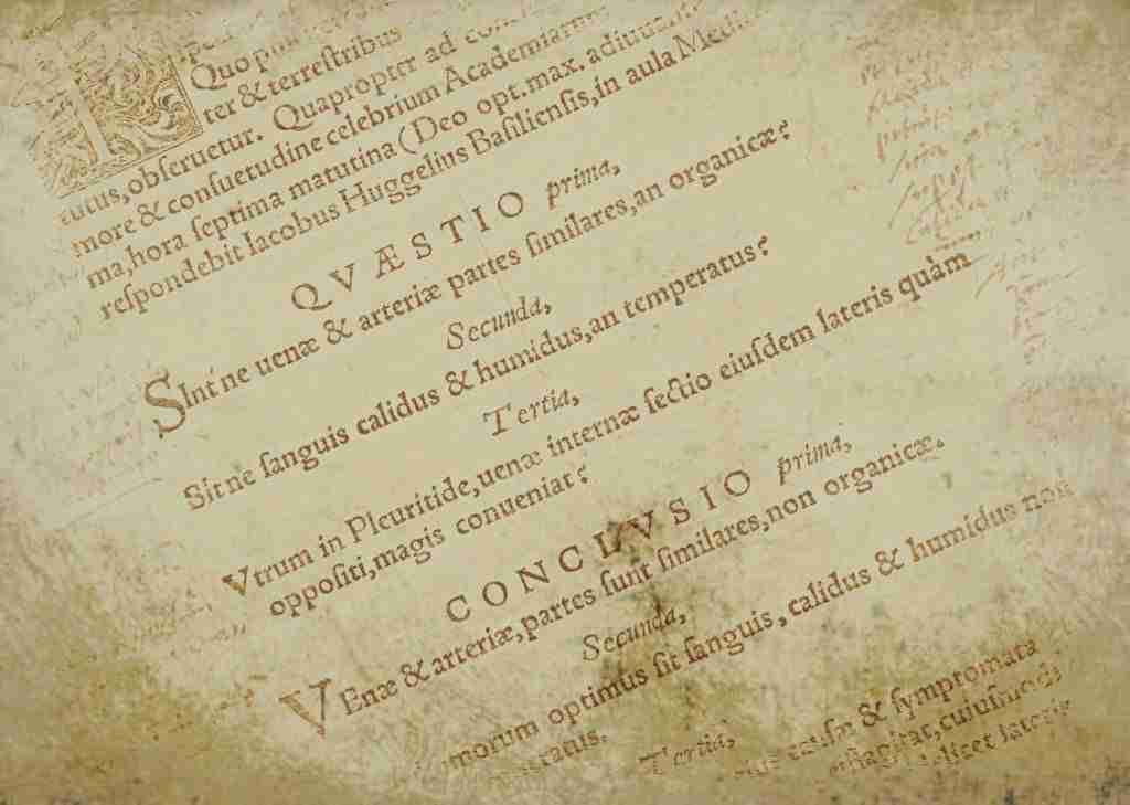 30% of the English vocabulary derived from Latin